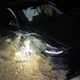 Image for article titled Tesla Driver On Autopilot With Suspended License Slams Into Michigan State Trooper